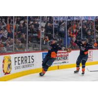 Flint Firebirds celebrate a goal