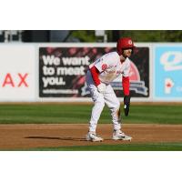 Winnipeg Goldeyes outfielder Adam Hall