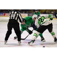 Florida Everblades forward Sam Stange (center) in the faceoff circle