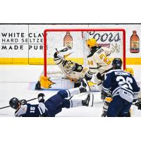 Wheeling Nailers goaltender Taylor Gauthier