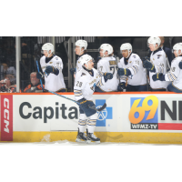 Springfield Thunderbirds left wing Dillon Dube along the bench