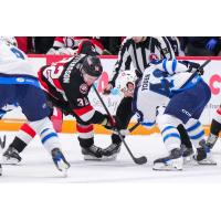 Belleville Senators right wing Oskar Pettersson faces off with the Manitoba Moose