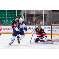 Belleville Senators goaltender Leevi Meriläinen vs. the Manitoba Moose