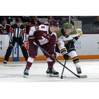 Peterborough Petes' Brennan Faulkner and North Bay Battalion's Ryder Carey on game night