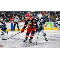 Grand Rapids Griffins forward Carter Mazur