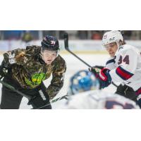 Adirondack Thunder's Brannon McManus and Kalamazoo Wings' Griffin Ness on game night