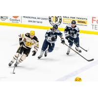 Wheeling Nailers' David Breazeale and Worcester Railers' Ross Mitton and Cole Donhauser on the ice