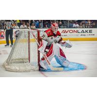 Grand Rapids Griffins' Carter Gylander