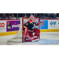 Grand Rapids Griffins goaltender Michal Postava