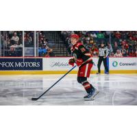 Grand Rapids Griffins defenseman Anton Johansson