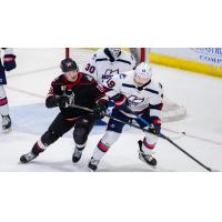 Adirondack Thunder forward Grant Loven (left) vs. the Kalamazoo Wings