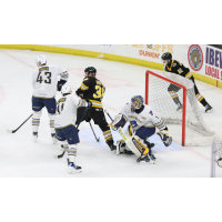 Springfield Thunderbirds goaltender Vadim Zherenko vs. the Providence Bruins
