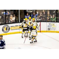 Wheeling Nailers gather following a goal