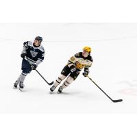 Worcester Railers forward Matt DeMelis (left) vs. the Wheeling Nailers