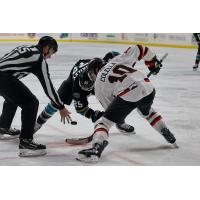 Rapid City Rush forward Maurizio Colella faces off with the Tahoe Knight Monsters