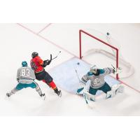San Jose Barracuda goaltender Jakub Skarek and forward Donavan Houle vs. the Coachella Valley Firebirds