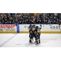Toledo Walleye celebratory huddle after a big goal