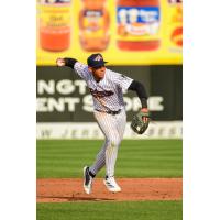 Somerset Patriots infielder George Lombard Jr.