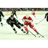 Allen Americans center Michael Gildon vs. the Utah Grizzlies