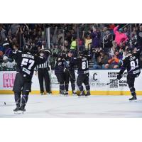 Orlando Solar Bears celebrate in front of the fans