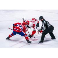 Spokane Chiefs center Owen Martin in the faceoff circle vs. the Prince George Cougars