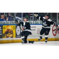 Wichita Thunder goal celebration