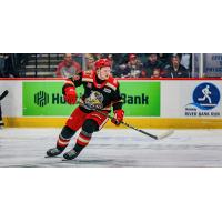 Grand Rapids Griffins forward Michael Milne