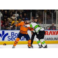 Greenville Swamp Rabbits fight with the Savannah Ghost Pirates