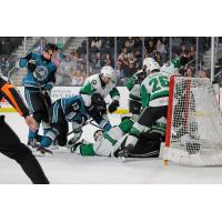 San Jose Barracuda forward Quentin Musty (13) digs for the puck against the Texas Stars
