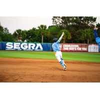 Charleston RiverDogs infielder Jose Monzon