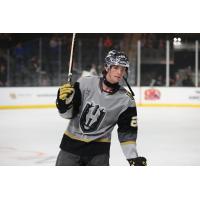 Henderson Silver Knights forward Trevor Connelly