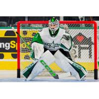 Texas Stars goaltender Remi Poirier