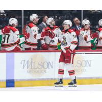 Grand Rapids Griffins left wing Eduards Tralmaks along the bench