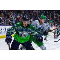 Florida Everblades battle the Jacksonville Icemen