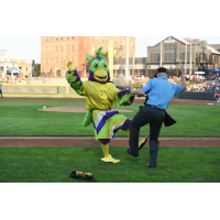BirdZerk! at Day Air Ballpark, home of the Dayton Dragons