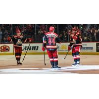 Grand Rapids Griffins all smiles following a goal