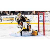 Wheeling Nailers goaltender Taylor Gauthier