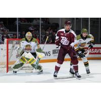 Peterborough Petes left wing Adam Novotný vs. the North Bay Battalion
