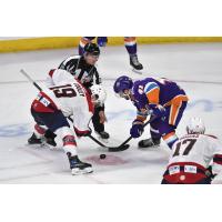 South Carolina Stingrays forward Stanley Cooley faces off with the Orlando Solar Bears