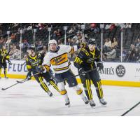 Atlanta Gladiators forward Ryley Appelt vs. the Greenville Swamp Rabbits