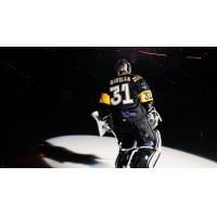 Greenville Swamp Rabbits goaltender Isaiah Saville