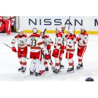 Grand Rapids Griffins exchange congratulations after beating the Manitoba Moose