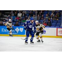 Syracuse Crunch forward Jakob Pelletier vs. the Providence Bruins