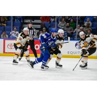 Syracuse Crunch forward Nick Abruzzese vs. the Providence Bruins