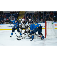 Springfield Thunderbirds forward Aleksanteri Kaskimäki reaches for the puck against the Hershey Bears