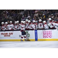 South Carolina Stingrays defenseman Stevie Leskovar along the bench