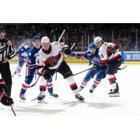 Belleville Senators right wing Oskar Pettersson vs. the Rochester Americans