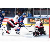 Belleville Senators goaltender Jackson Parsons makes a stop vs. the Rochester Americans