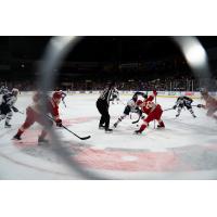 A Rapid City Rush faceoff from behind the glass