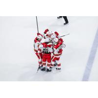 Grand Rapids Griffins celebrate a goal
